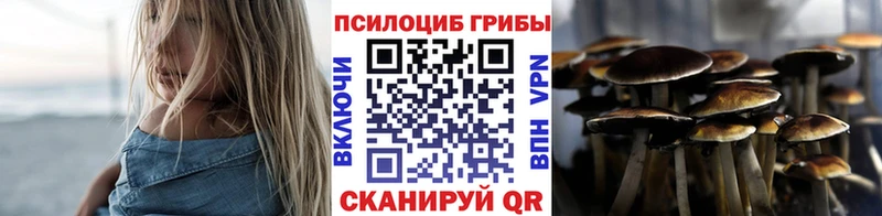 закладки  Городище  OMG маркетплейс  Галлюциногенные грибы мицелий 